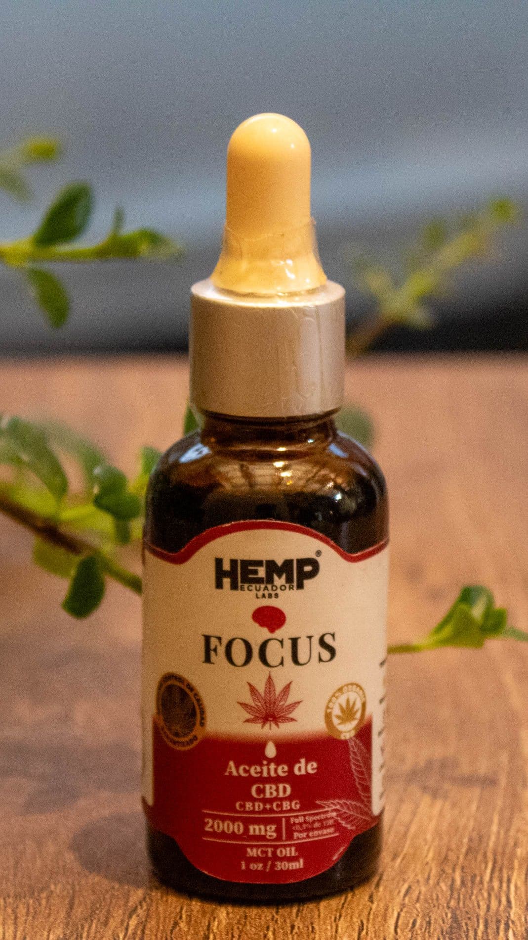 HEMP FOCUS (30ml)